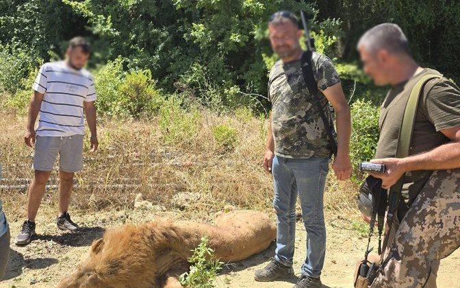 Antalya’da Aslan Dehşeti: Çiftçiye Saldırdı, Saatler Sonra Yakalandı