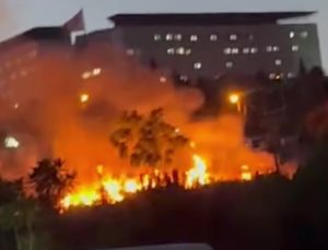 Darıca Millet Bahçesi’nde  Yangın!