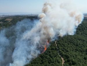 Gebze’de Orman Yangını Kontrol Altına Alındı