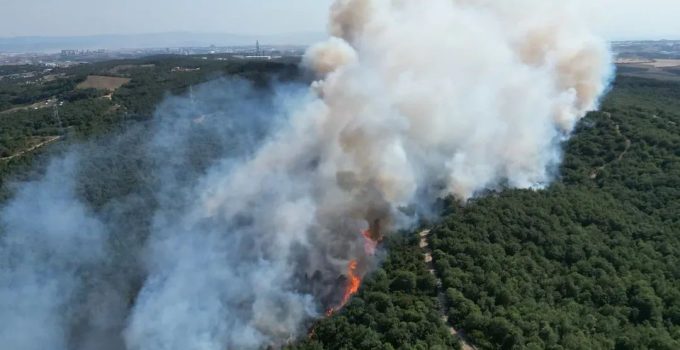 Gebze’de Orman Yangını Kontrol Altına Alındı