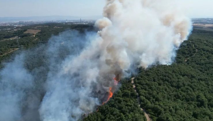 Gebze’de Orman Yangını Kontrol Altına Alındı