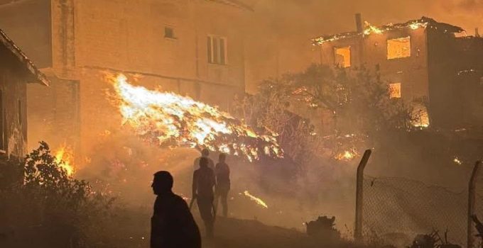 Valilik Uyardı: Ormanlık Alanlarda Ateş Yasak!