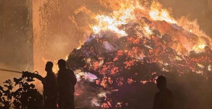 Sakarya’daki Orman Yangınına “Yatak” Sebep Oldu: 1 Kişi Tutuklandı