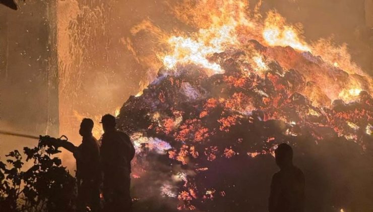 Sakarya’daki Orman Yangınına “Yatak” Sebep Oldu: 1 Kişi Tutuklandı