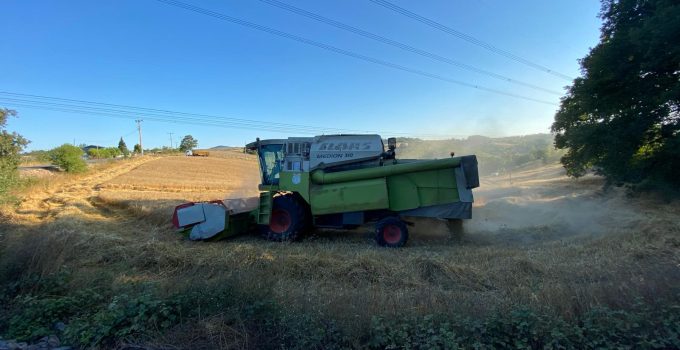Körfez Belediyesi 5 Ton Buğday Hasat Etti