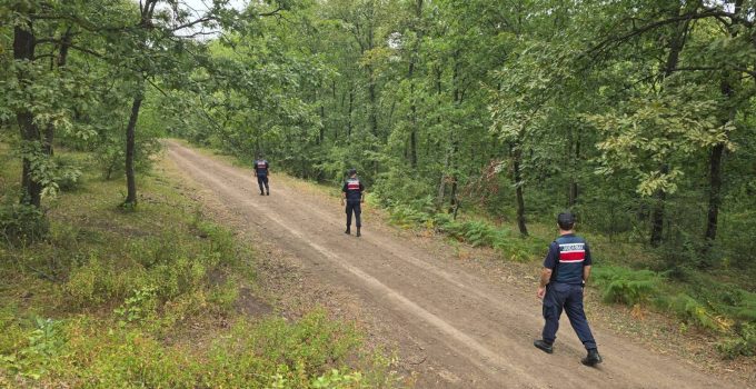 Jandarma, Kocaeli’nin Ormanlarında Görev Başında