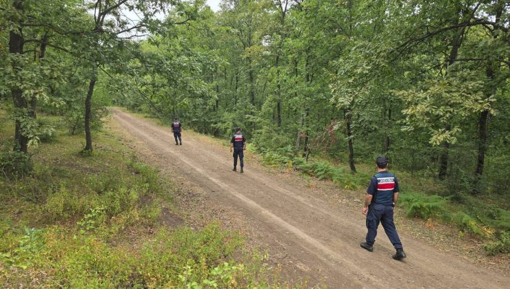 Jandarma, Kocaeli’nin Ormanlarında Görev Başında