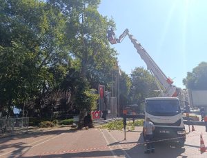 Bir öğretmenin hayatını kaybettiği Değirmendere Meydanı’nda kesim çalışmaları başladı