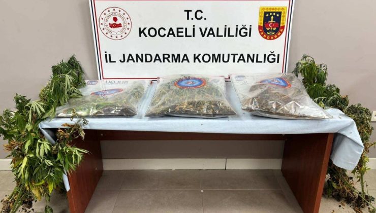 Kocaeli’de Uyuşturucu Operasyonu: 2 Tutuklama