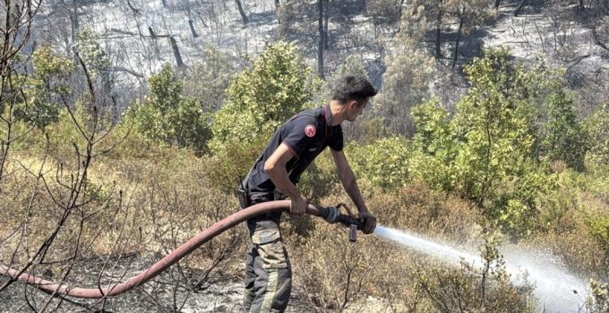 Kocaeli İtfaiyesi, Bursa’daki Orman Yangınına Destek İçin Harekete Geçti