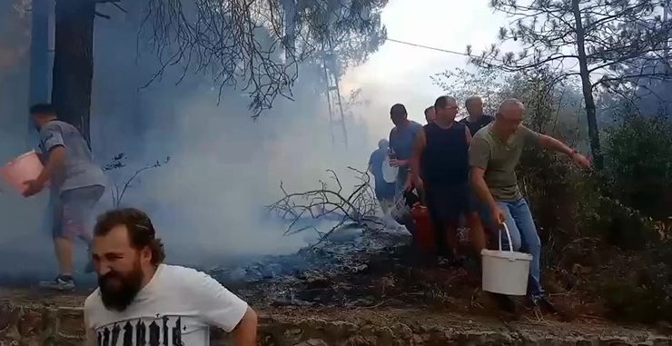 İzmit’te Orman Yangınına Mahalleli Kovalarla Müdahale Etti
