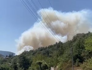 Karamürsel’de Orman Yangını