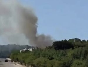 İzmit’te Orman Yangını Kontrol Altına Alındı