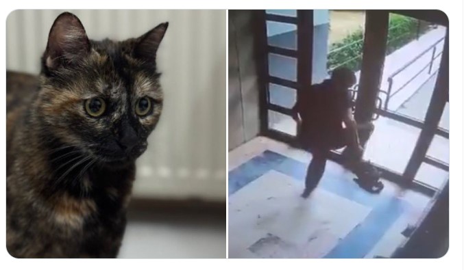 Cezve’yi vahşice öldüren zanlı tutuklandı