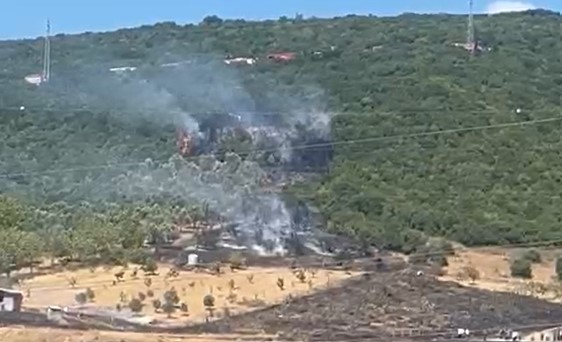 Derince’deYangın: Havadan Helikopter Desteği İstendi