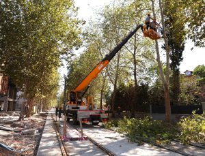 Alikahya Tramvay Hattı’nda ağaçlar budanıyor