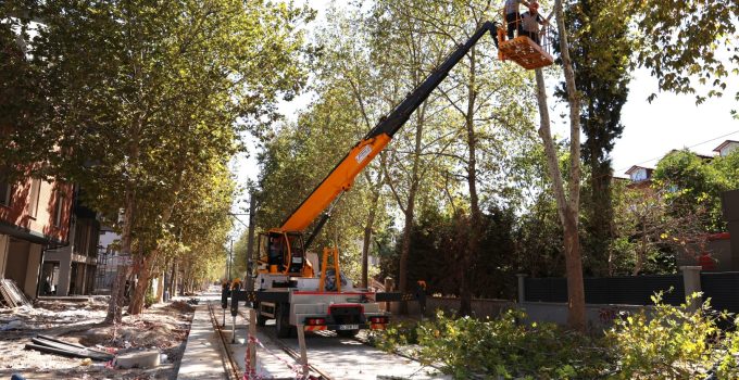 Alikahya Tramvay Hattı’nda ağaçlar budanıyor
