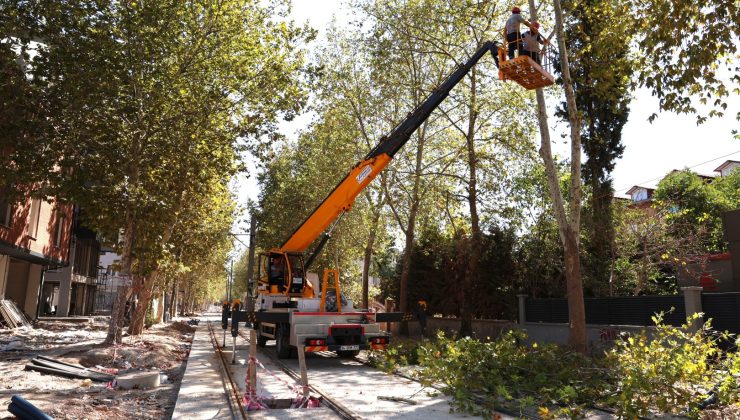 Alikahya Tramvay Hattı’nda ağaçlar budanıyor