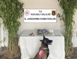 Kartepe’de Uyuşturucu Operasyonu: 1 Tutuklama