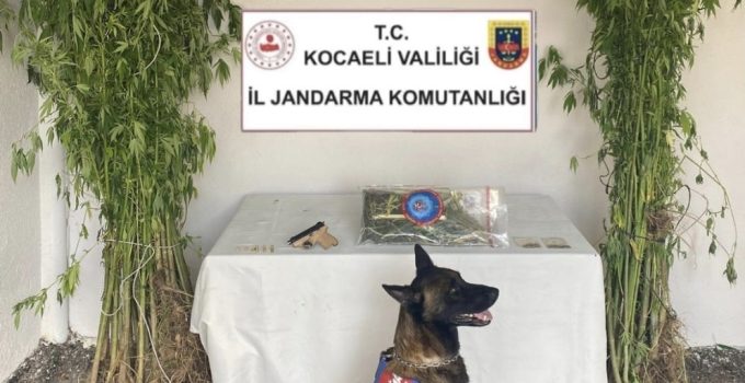 Kartepe’de Uyuşturucu Operasyonu: 1 Tutuklama