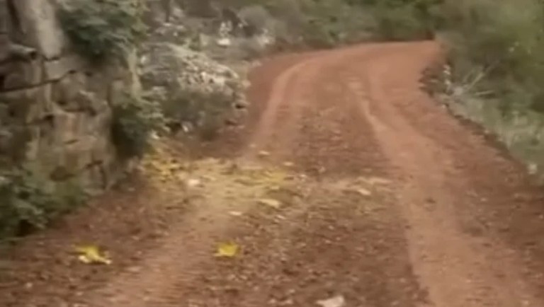 İzmit Gökçeviran’da Yol Sorunu!