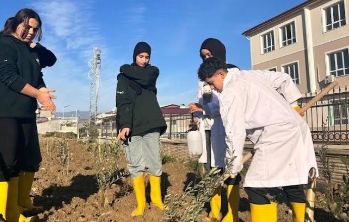 Depremde yitirilen öğretmenler için zeytin bahçesi