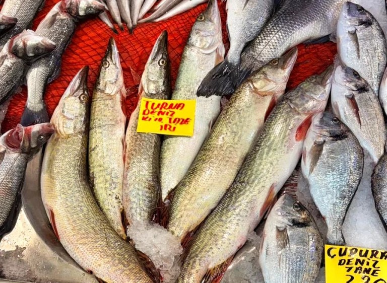 Balık pazarında ‘deniz turnası’ aldatmacası