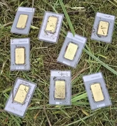 Almanya’da Kasabada Bulunan Altın Külçeleri Umut Oldu