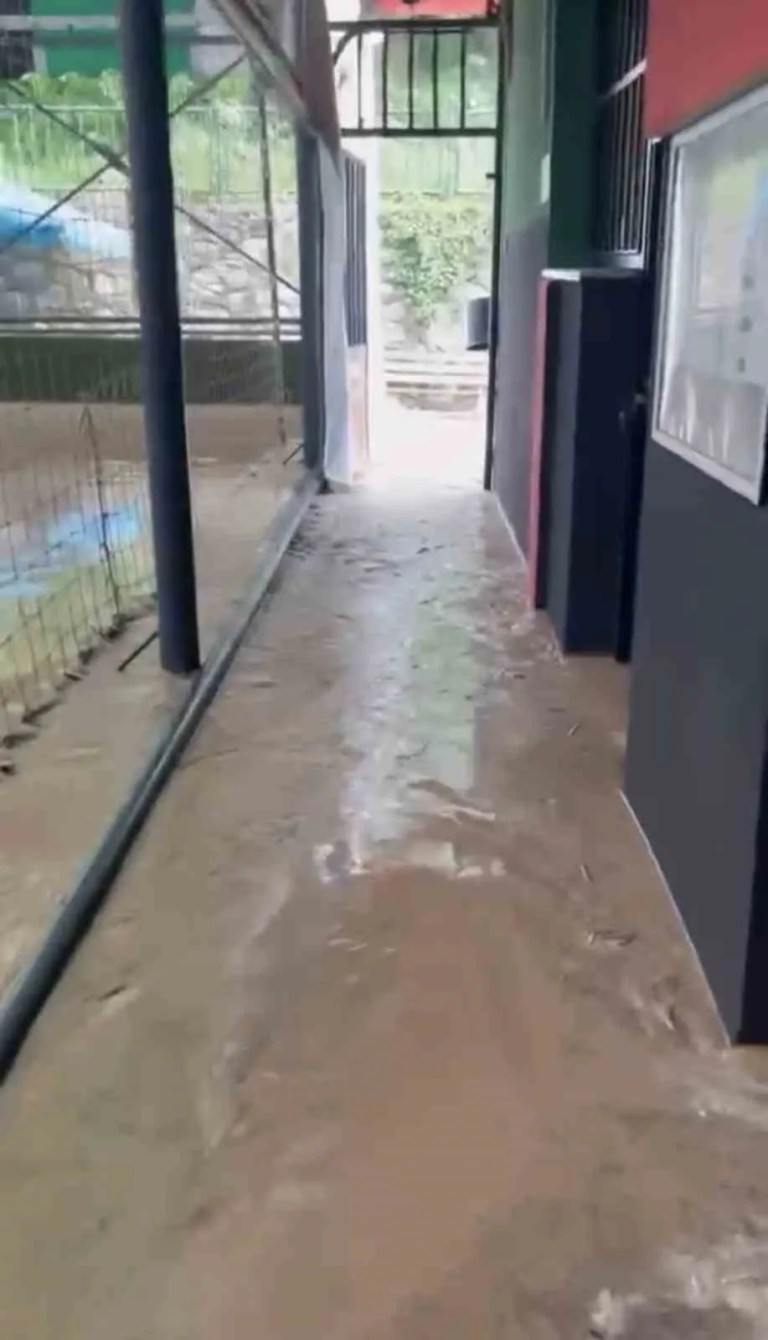 İzmit’te sağanak vatandaşlara zor anlar yaşattı
